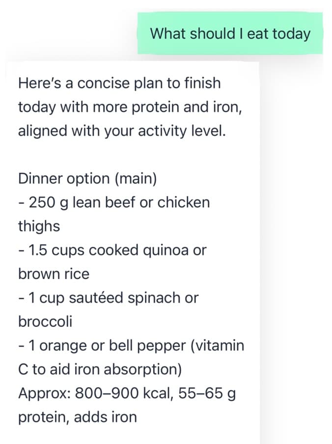 Chat interface summarizing meal and nutrition